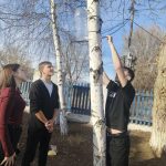 ▌Акция «Синичкин день» в Техникуме Транспортa